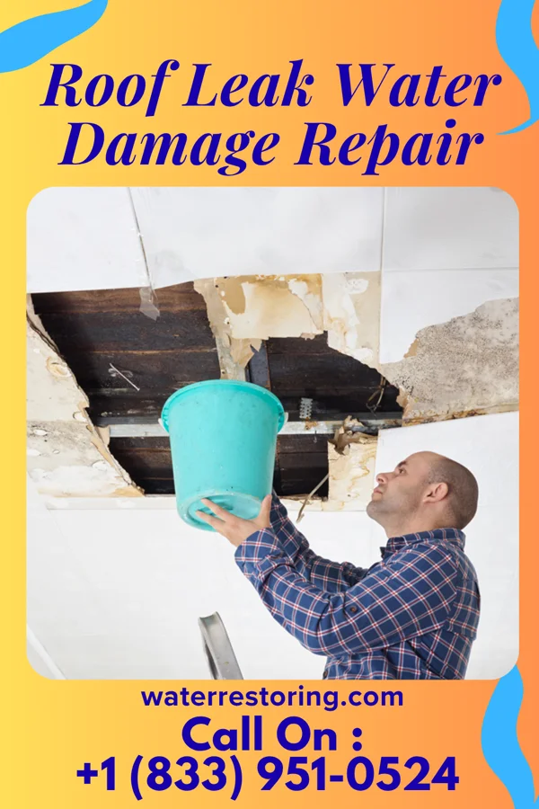 Roof Leak Water Damage Repair in Klemme, IA