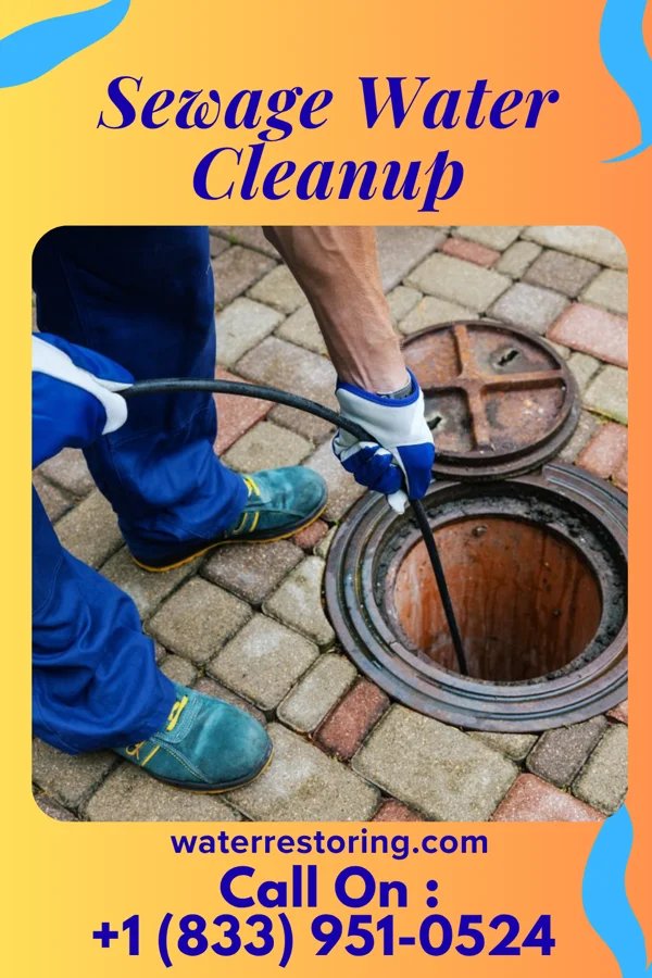 Sewage Water Cleanup in Klemme, IA